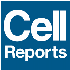 DIGIT Is A Conserved Long Noncoding RNA That Regulates GSC Expression